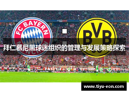 拜仁慕尼黑球迷组织的管理与发展策略探索