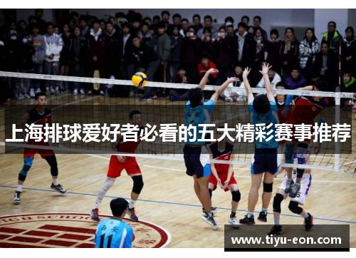 上海排球爱好者必看的五大精彩赛事推荐