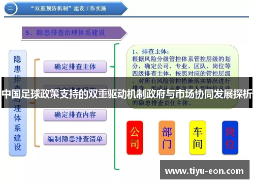 中国足球政策支持的双重驱动机制政府与市场协同发展探析