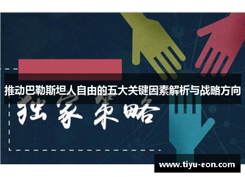 推动巴勒斯坦人自由的五大关键因素解析与战略方向