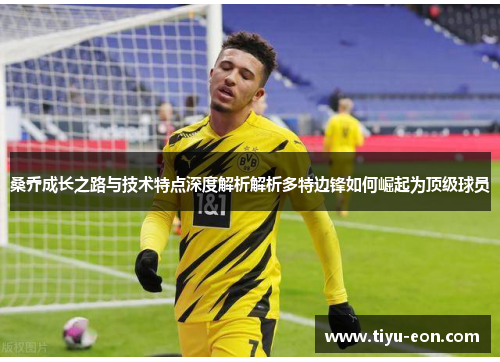 桑乔成长之路与技术特点深度解析解析多特边锋如何崛起为顶级球员