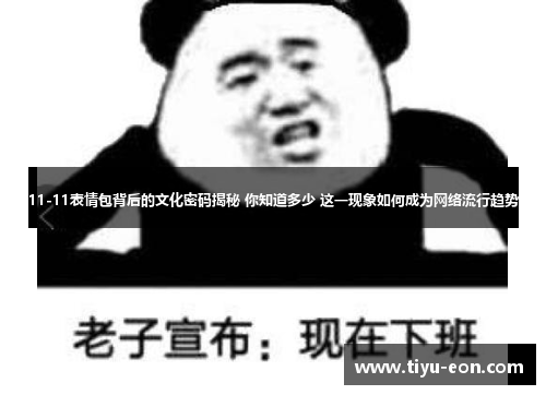 11-11表情包背后的文化密码揭秘 你知道多少 这一现象如何成为网络流行趋势