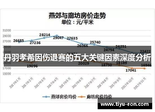 丹羽孝希因伤退赛的五大关键因素深度分析