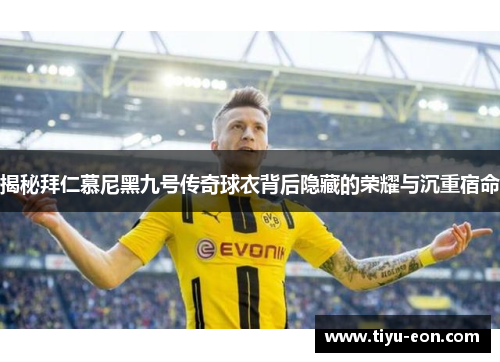 揭秘拜仁慕尼黑九号传奇球衣背后隐藏的荣耀与沉重宿命