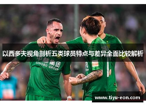 以西多夫视角剖析五类球员特点与差异全面比较解析