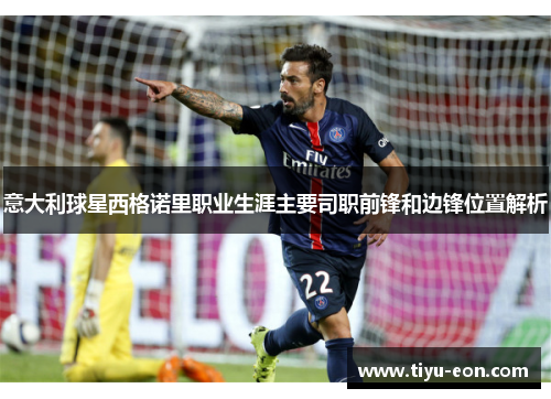 意大利球星西格诺里职业生涯主要司职前锋和边锋位置解析