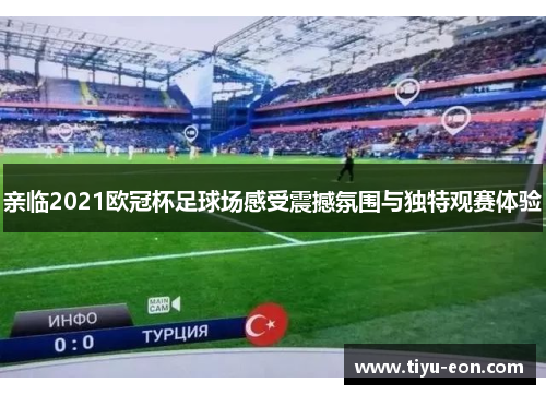 亲临2021欧冠杯足球场感受震撼氛围与独特观赛体验
