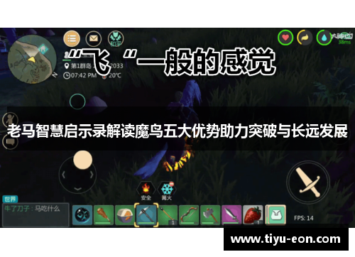 老马智慧启示录解读魔鸟五大优势助力突破与长远发展