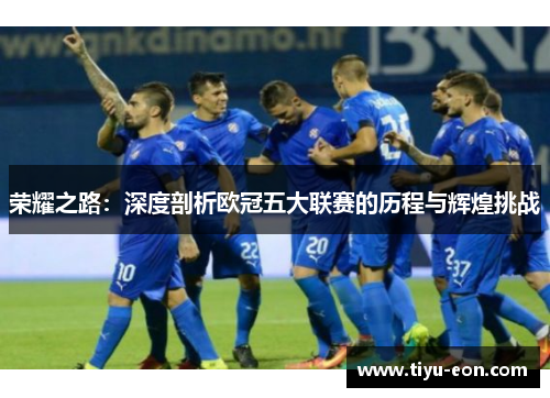 荣耀之路：深度剖析欧冠五大联赛的历程与辉煌挑战