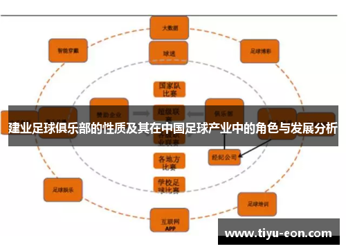 建业足球俱乐部的性质及其在中国足球产业中的角色与发展分析