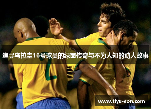 追寻乌拉圭16号球员的绿茵传奇与不为人知的动人故事