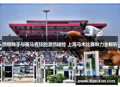 顶级骑手与赛马竞技的激情碰撞 上海马术比赛魅力全解析
